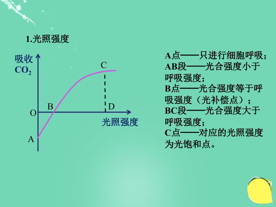 2018高考生物一轮复习 第三单元 细胞的能量供应和利用 10 影响光合作用的因素课件 新人教版_第3页