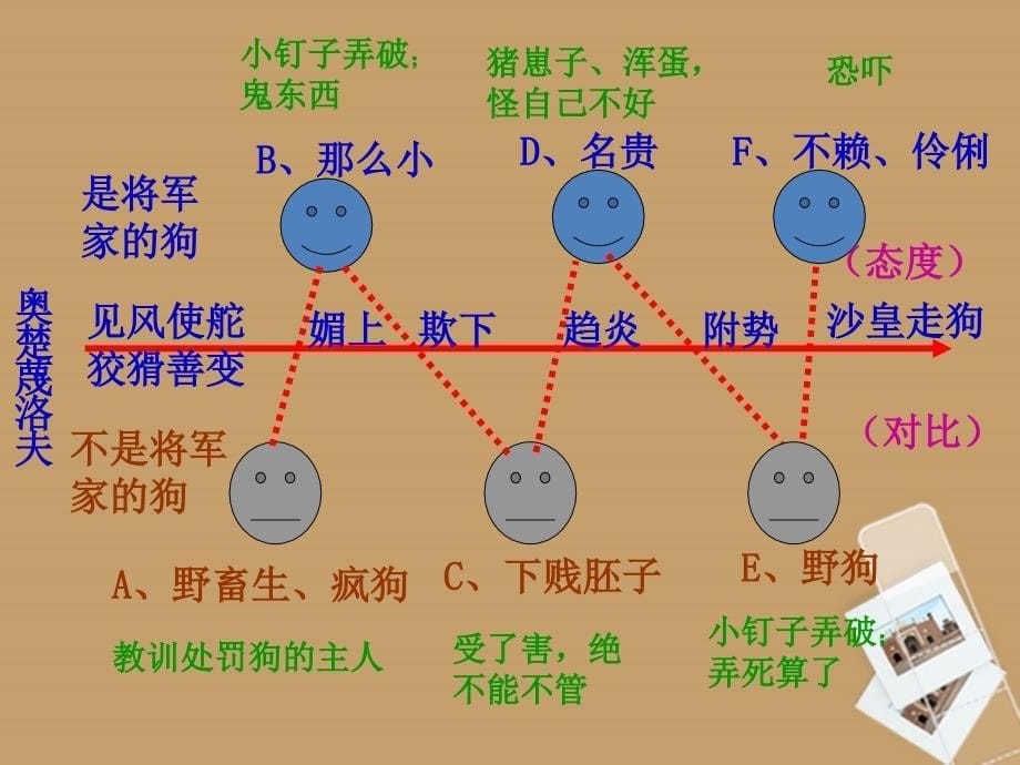 5.3 变色龙 课件（北京课改版九上）.ppt_第5页