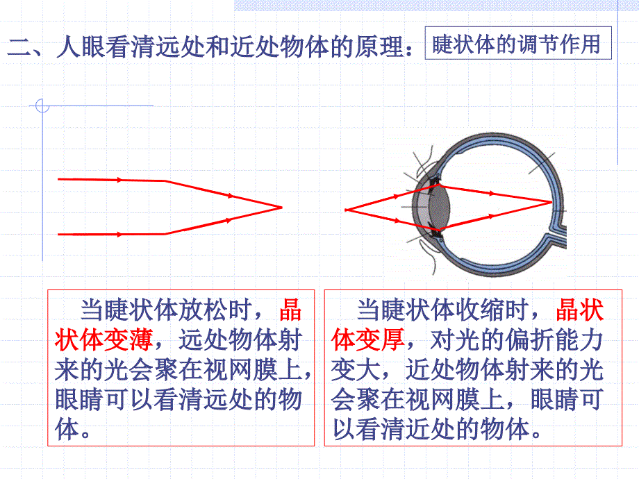 5.4 眼睛和眼镜 课件（新人教版八年级上册） (7).ppt_第4页