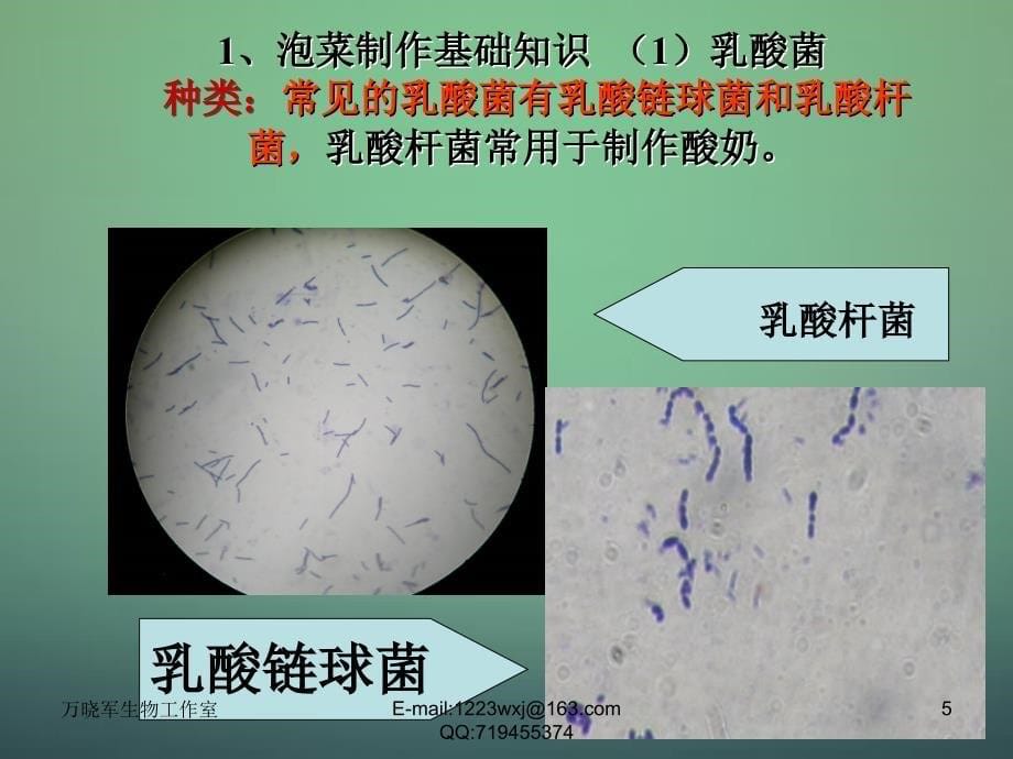 江西省安义中学高中生物 1.3制作泡菜并检测亚硝酸盐含量课件 新人教版选修1_第5页