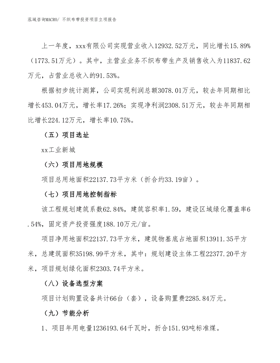 不织布带投资项目立项报告_第2页