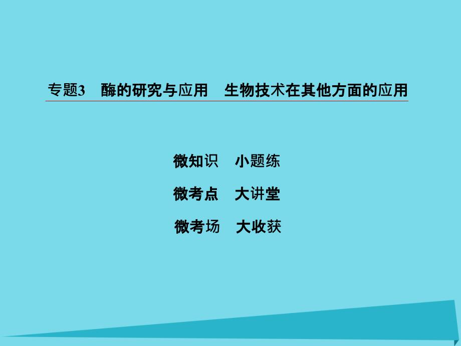 2018高考生物一轮复习 专题3 酶的研究与应用 生物技术在其他方面的应用课件 新人教版选修1_第3页