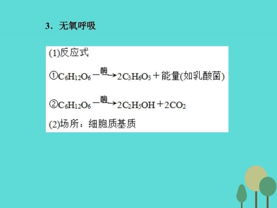 2018高考生物一轮复习 第三单元 细胞的能量供应和利用 05 细胞呼吸的过程课件 新人教版_第5页