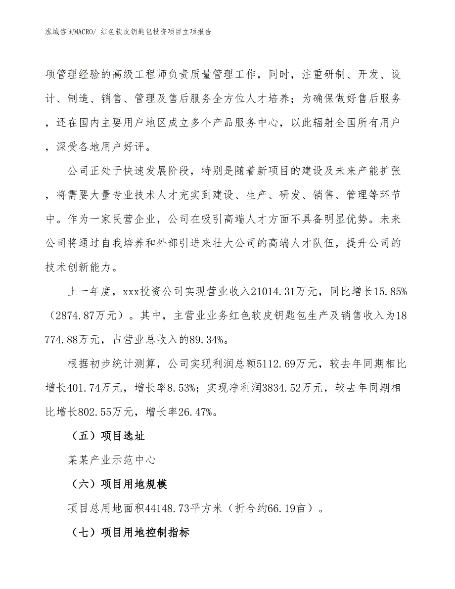 红色软皮钥匙包投资项目立项报告_第2页