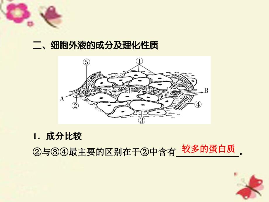 2018高考生物大一轮复习 第1单元 生命活动的调节 第1讲 人体的内环境与稳态课件（必修3）_第4页