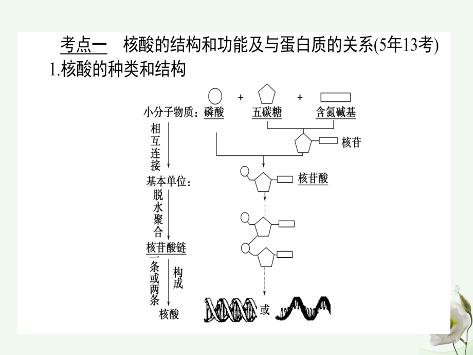 2018高考生物一轮复习构想第一单元细胞的分子组成基础落实案4遗传信息的携带者__核酸细胞中的糖类脂类课件新人教版必修_第3页