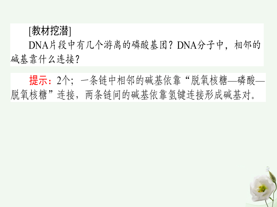 2018高考生物一轮复习构想第一单元细胞的分子组成基础落实案4遗传信息的携带者__核酸细胞中的糖类脂类课件新人教版必修_第4页