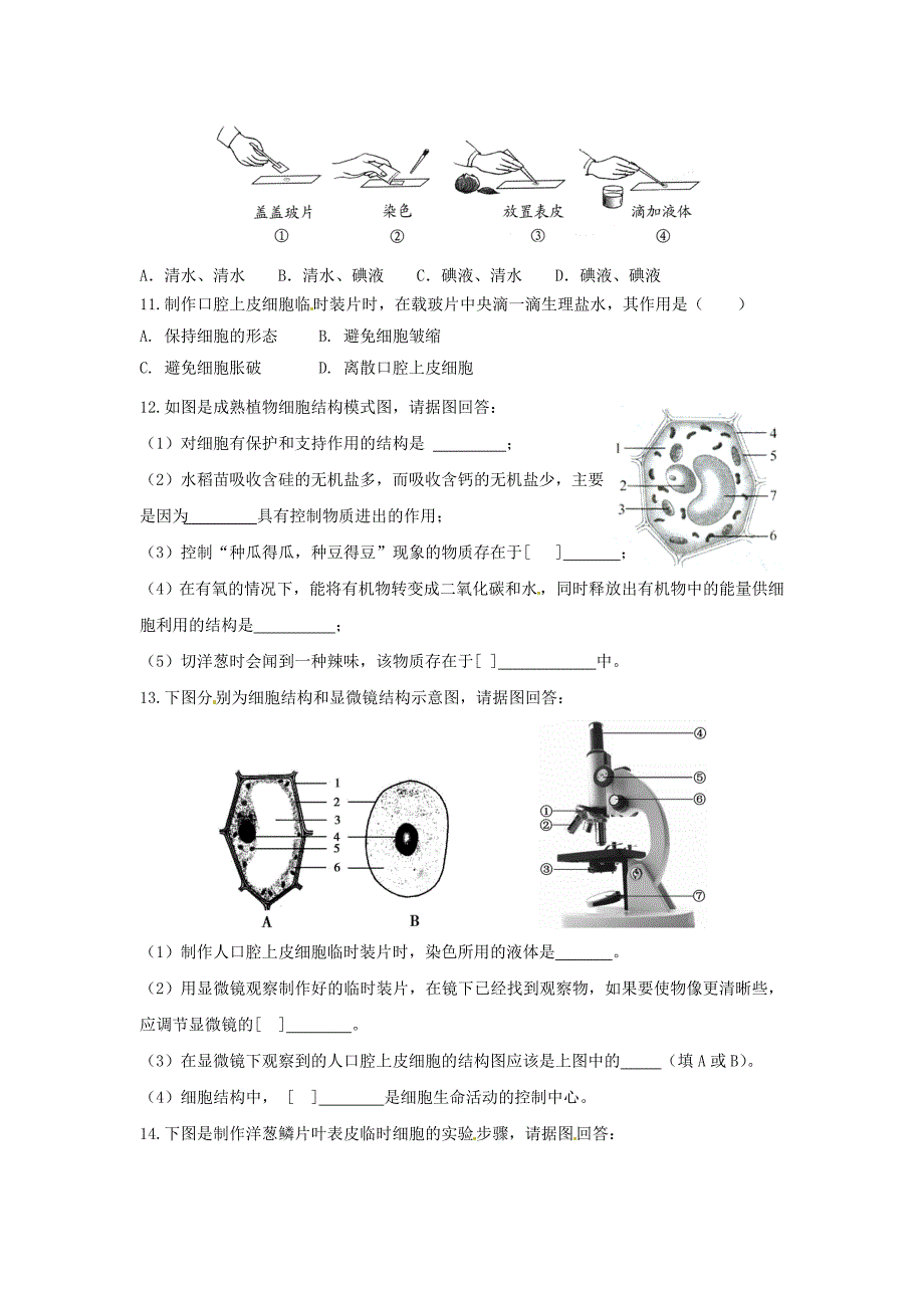 4.8.1 生物体的基本结构 试题试卷 (1).doc_第2页