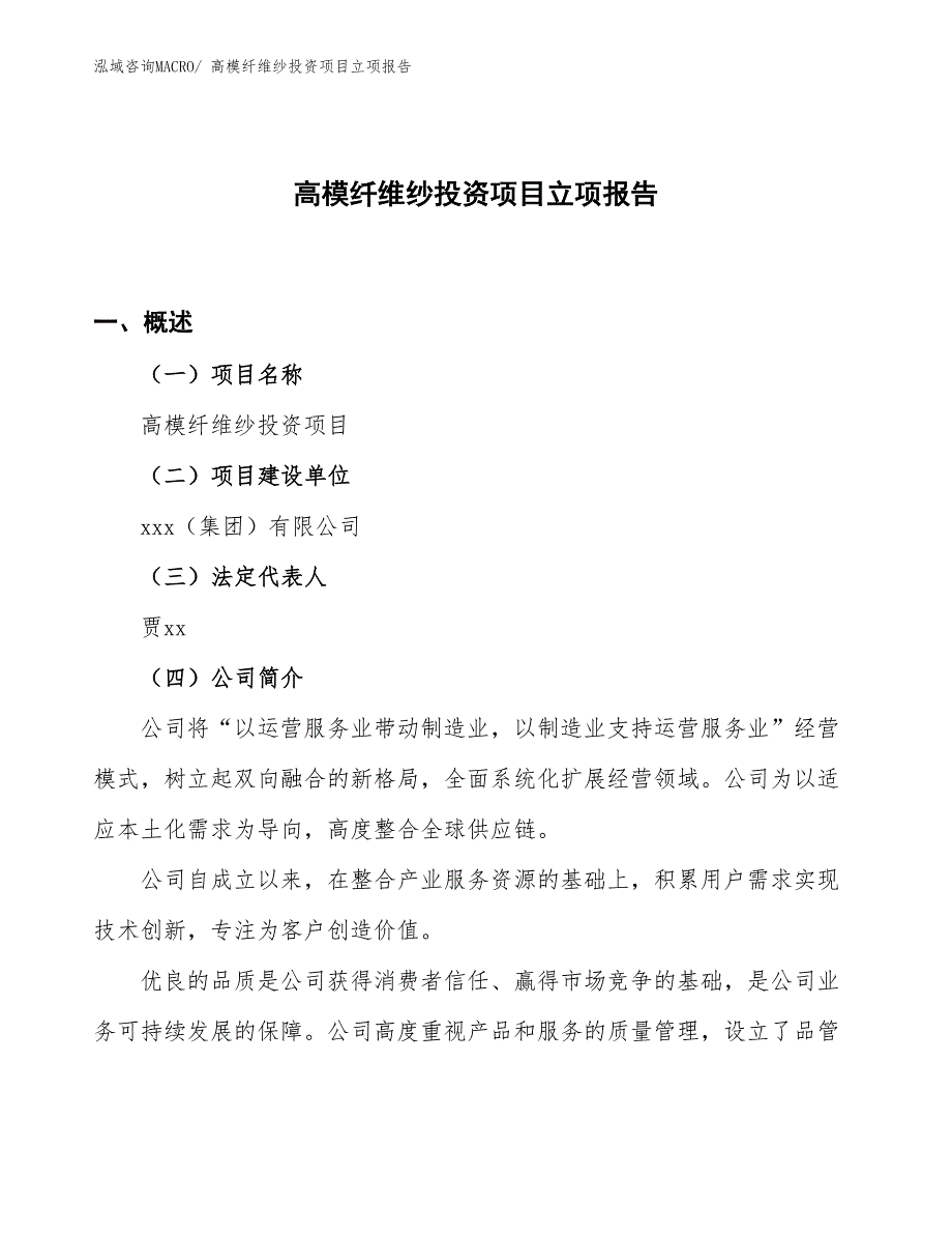 高模纤维纱投资项目立项报告_第1页