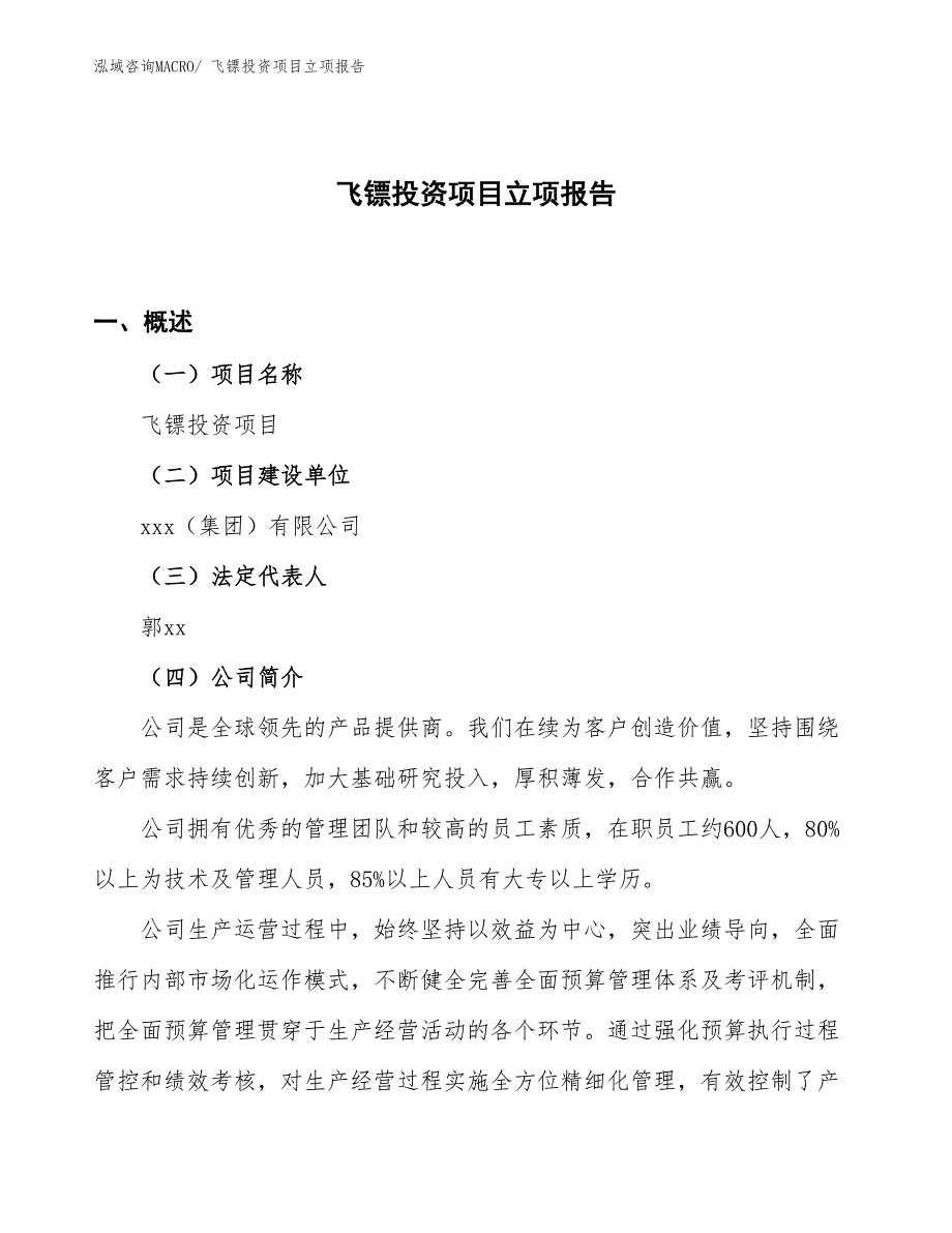 飞镖投资项目立项报告_第1页