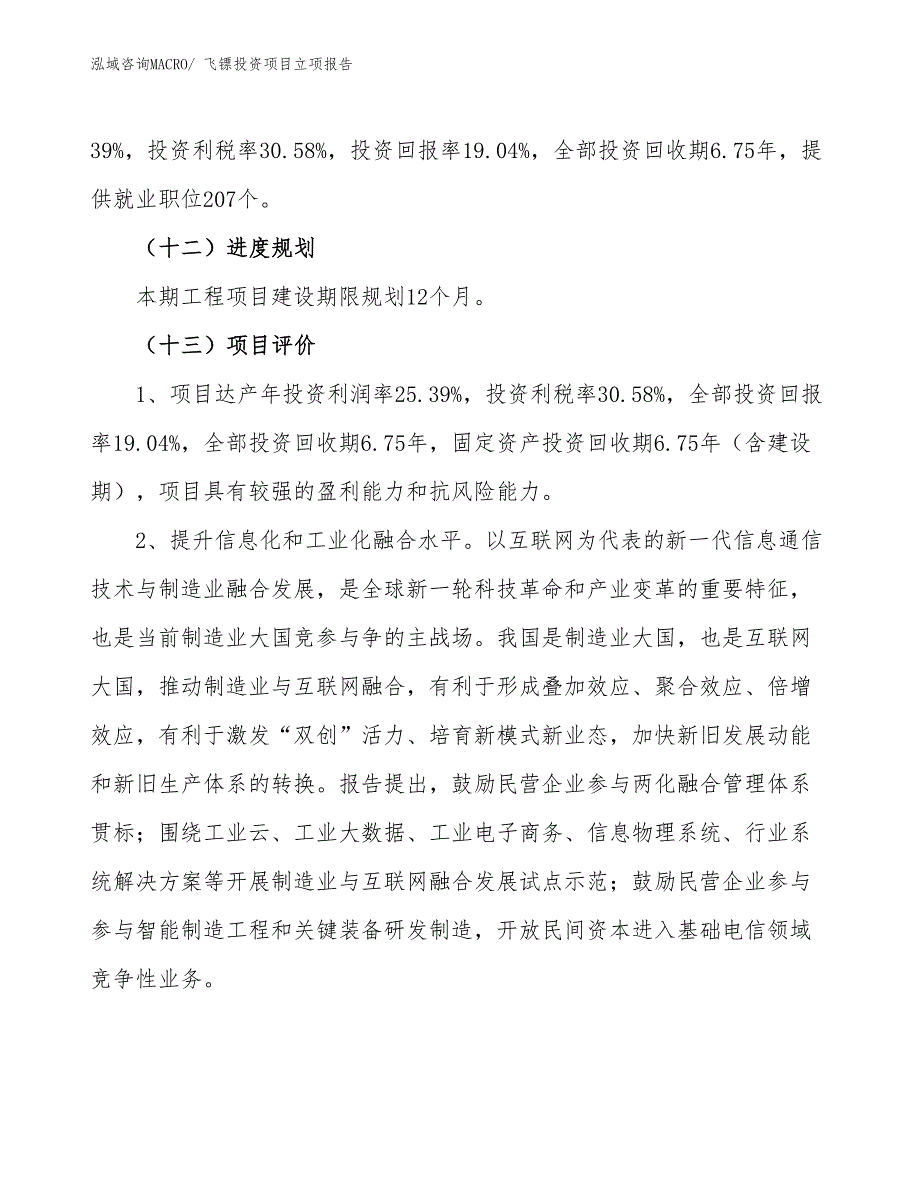 飞镖投资项目立项报告_第4页