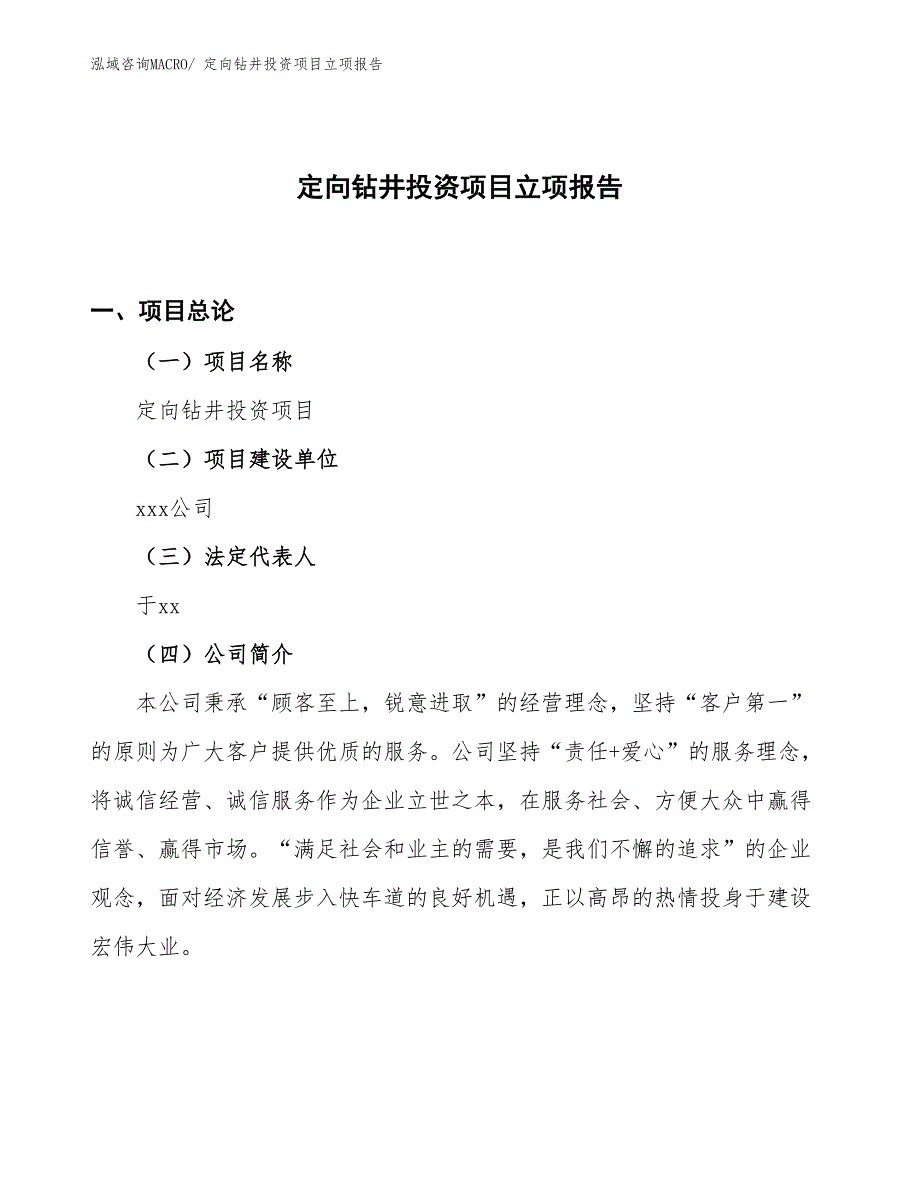 定向钻井投资项目立项报告_第1页