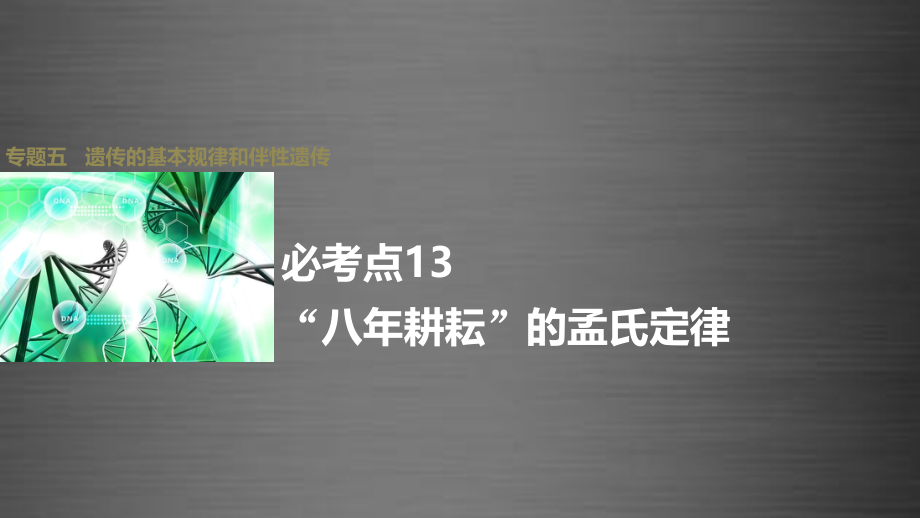 （全国专用）2018版高考生物大二轮总复习 增分策略 专题五 必考点13“八年耕耘”的孟氏定律课件_第1页