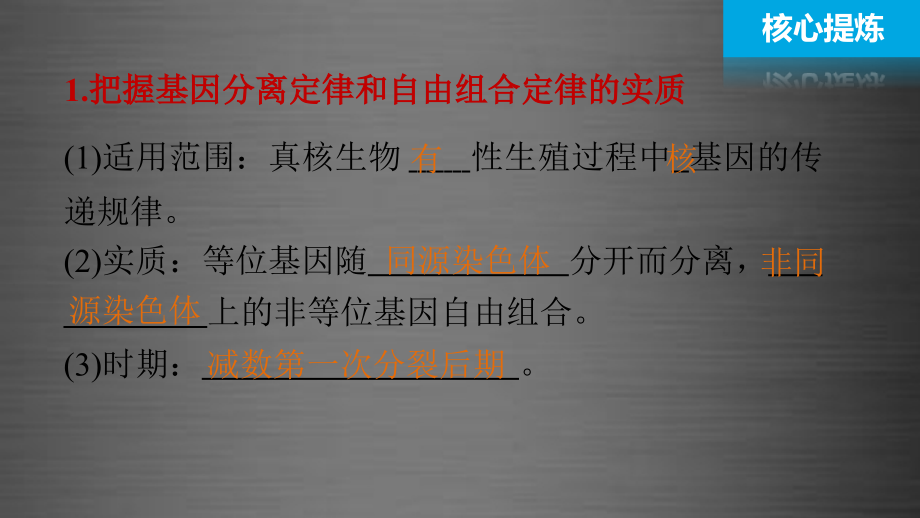 （全国专用）2018版高考生物大二轮总复习 增分策略 专题五 必考点13“八年耕耘”的孟氏定律课件_第4页