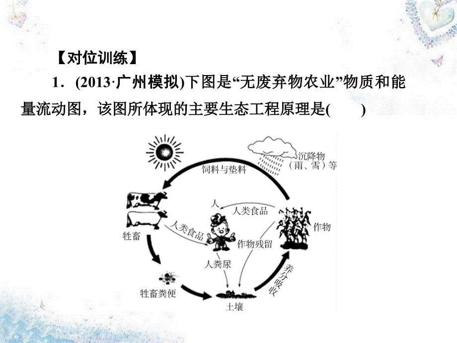 2018高考生物一轮复习 10.40生态工程课件_第5页