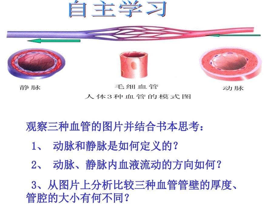 4.本章复习 课件 (10).ppt_第5页