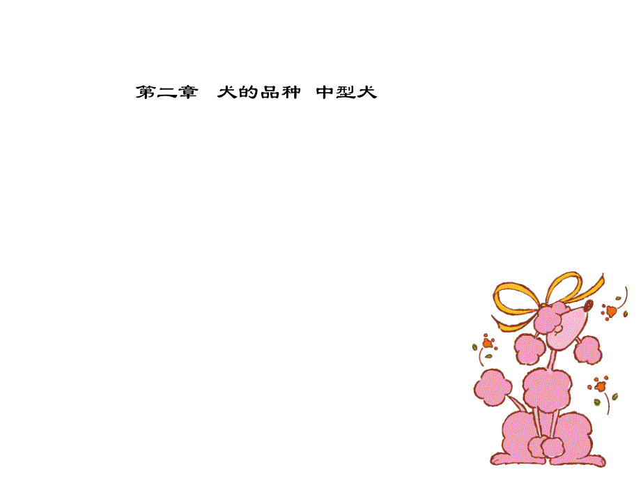 犬的品种(中型犬).ppt_第1页