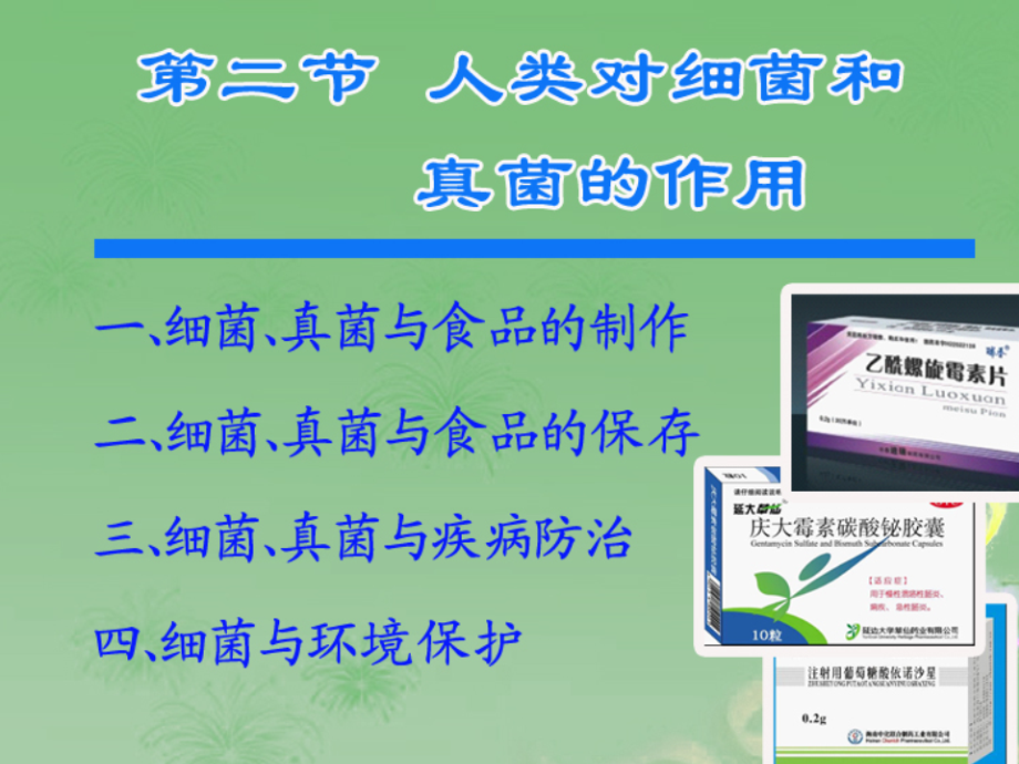 4.5 人类对细菌和真菌的利用 课件（人教版八年级上）.ppt_第2页