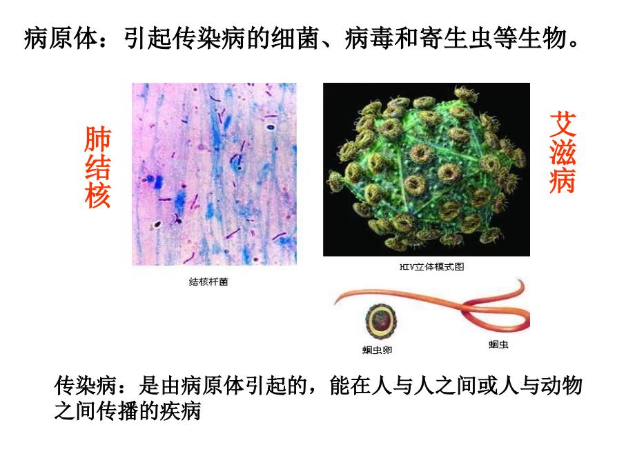 4.1传染病及其预防 课件3（生物人教版八年级下册）.ppt_第3页