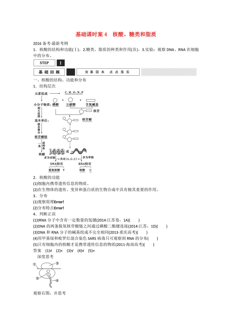 2016年高三生物一轮复习 基础课时案4　核酸、糖类和脂质基础回顾 新人教版_第1页