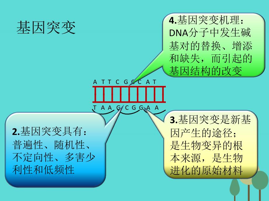 2018高考生物一轮复习 关键语句时时背12课件 新人教版_第3页