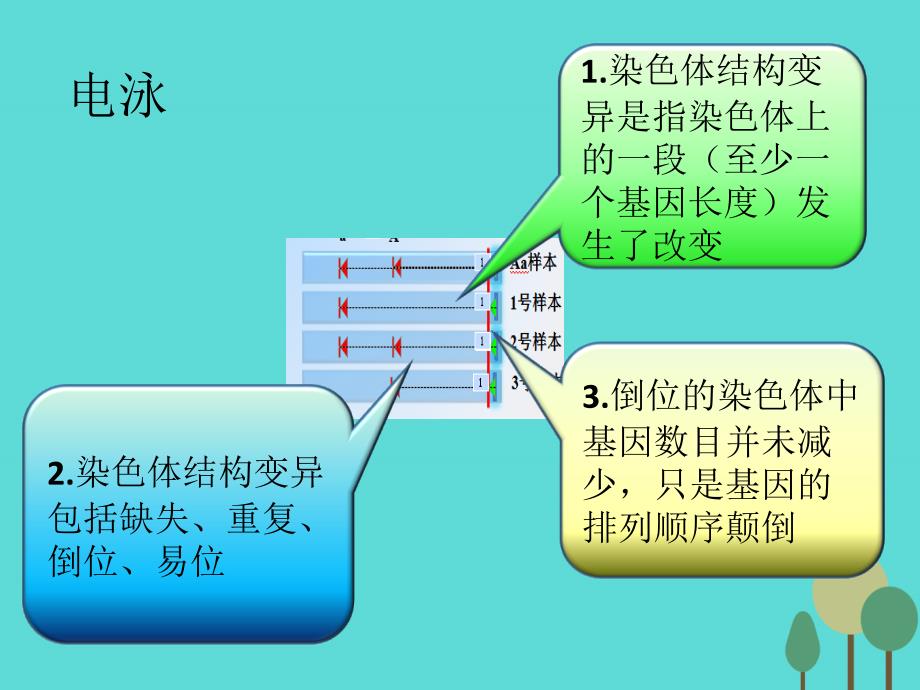 2018高考生物一轮复习 关键语句时时背12课件 新人教版_第4页