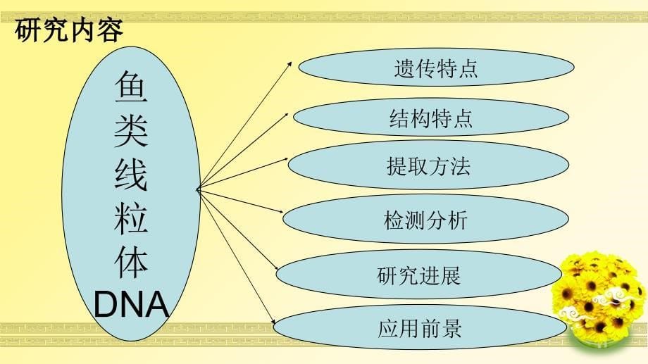 最新鱼类线粒体DNA的遗传分析研究.ppt_第5页