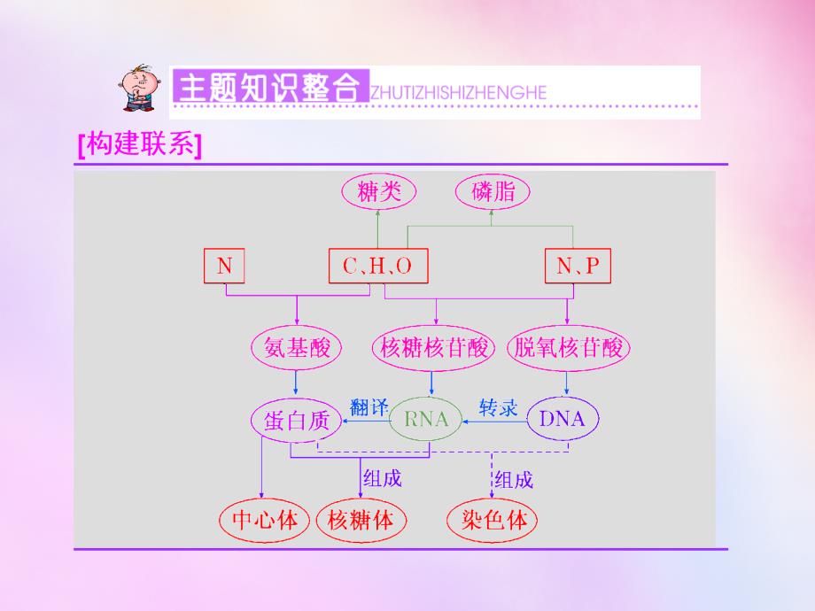 2018高考生物一轮复习 第二单元 细胞的结构主题串记（一）课件 浙教版必修1_第2页