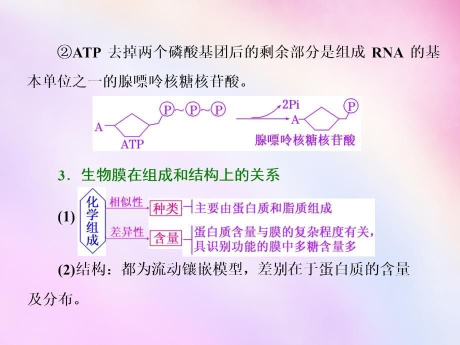 2018高考生物一轮复习 第二单元 细胞的结构主题串记（一）课件 浙教版必修1_第5页