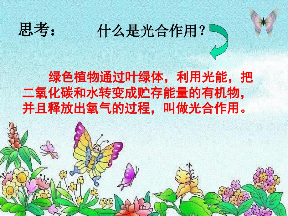 6 单元复习与测试 (2).ppt_第2页