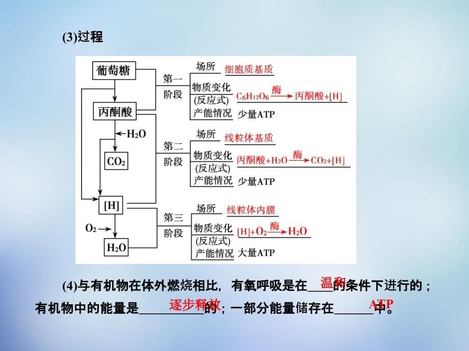 （新课标）2018高考生物一轮复习 5.2细胞呼吸课件 新人教版必修1_第5页