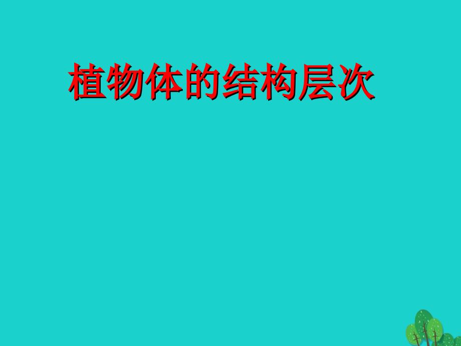 黑龙江省双城市杏山镇中学七年级生物上册 2.2.3 植物体的结构层次课件 （新版）新人教版_第1页