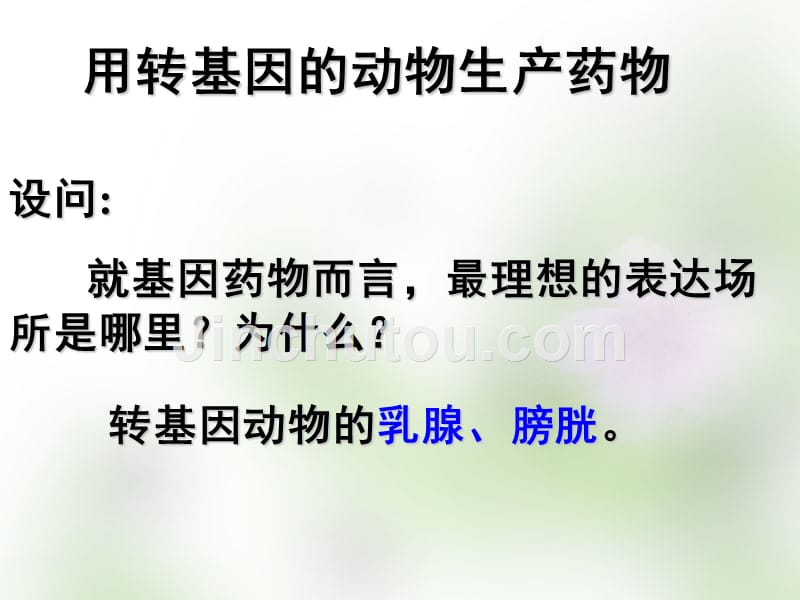 江苏省宿迁市马陵中学2018届高考生物专题复习 基因工程应用课件_第3页