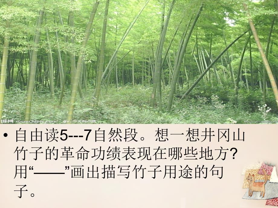 六年级语文下册《井冈翠竹》课件2 长春版_第3页