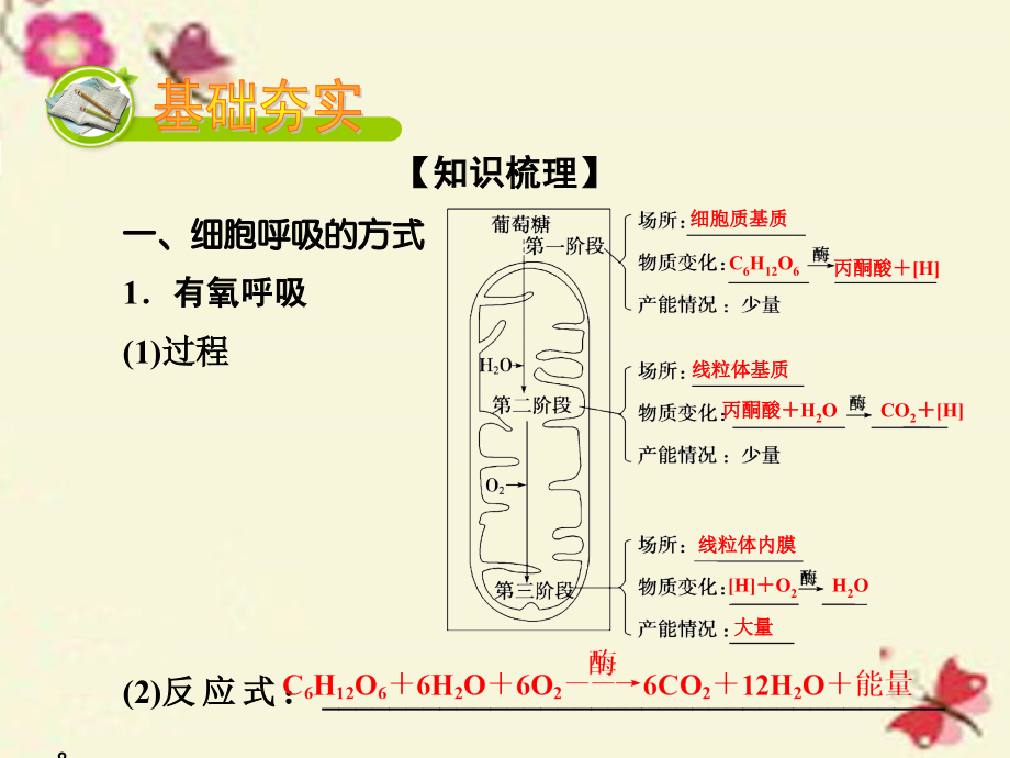 2018高考生物大一轮复习 第3单元 细胞的能量供应和利用 第2讲 细胞呼吸课件（必修1）_第2页