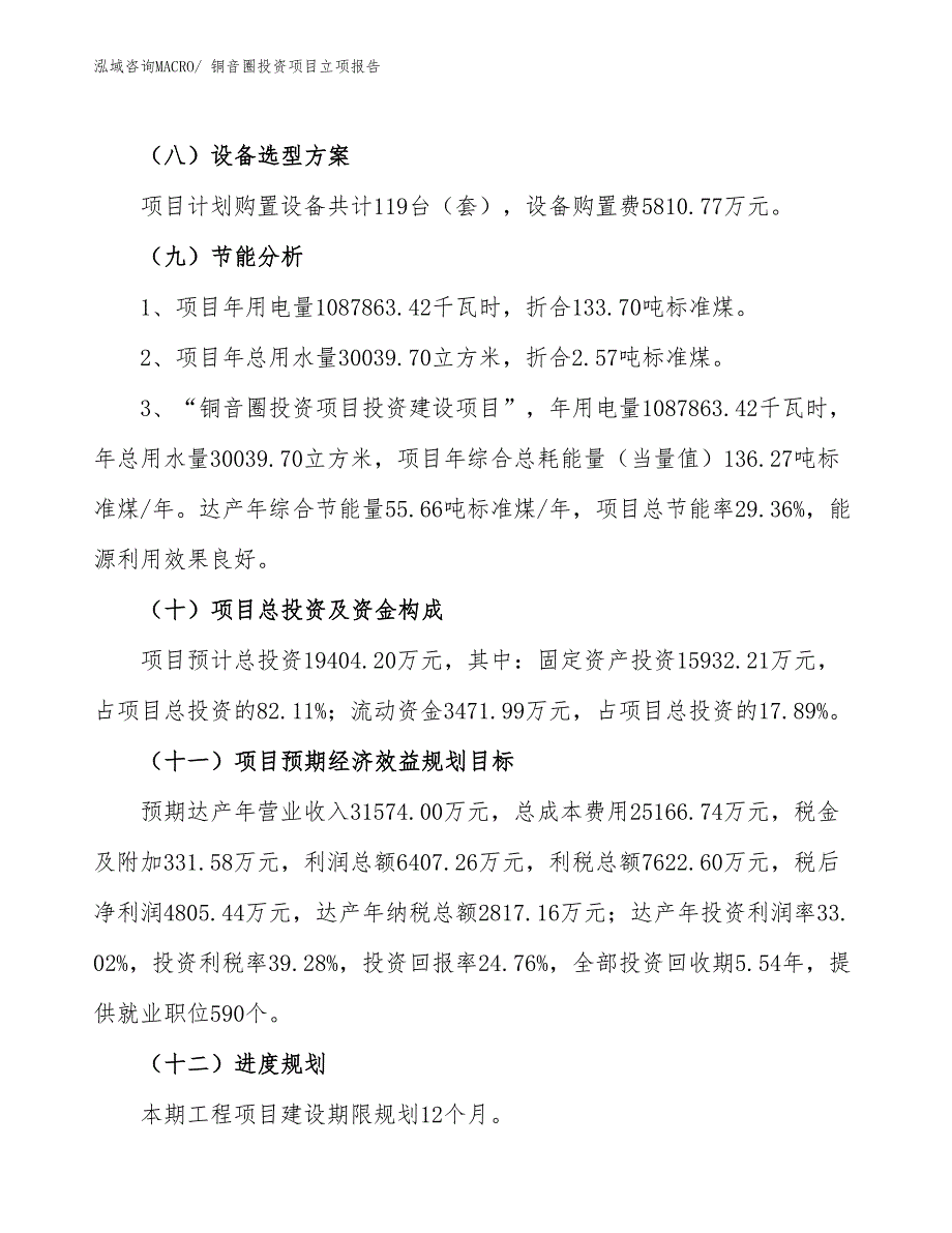 铜音圈投资项目立项报告_第3页