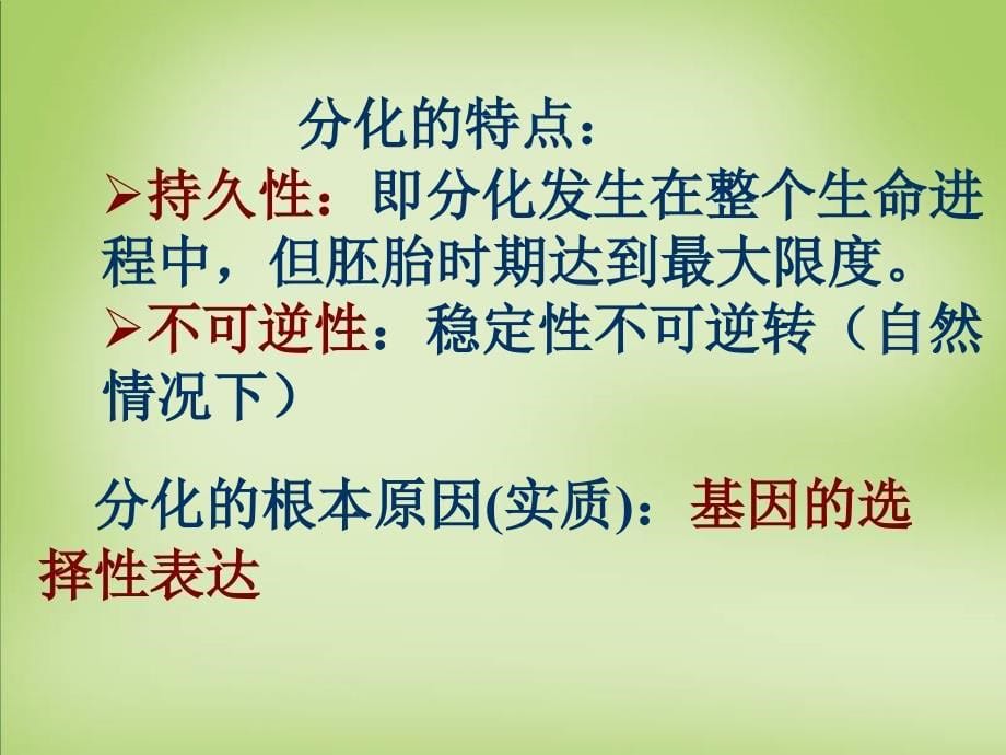 天津市梅江中学高考生物 细胞的分化癌变衰老课件_第5页