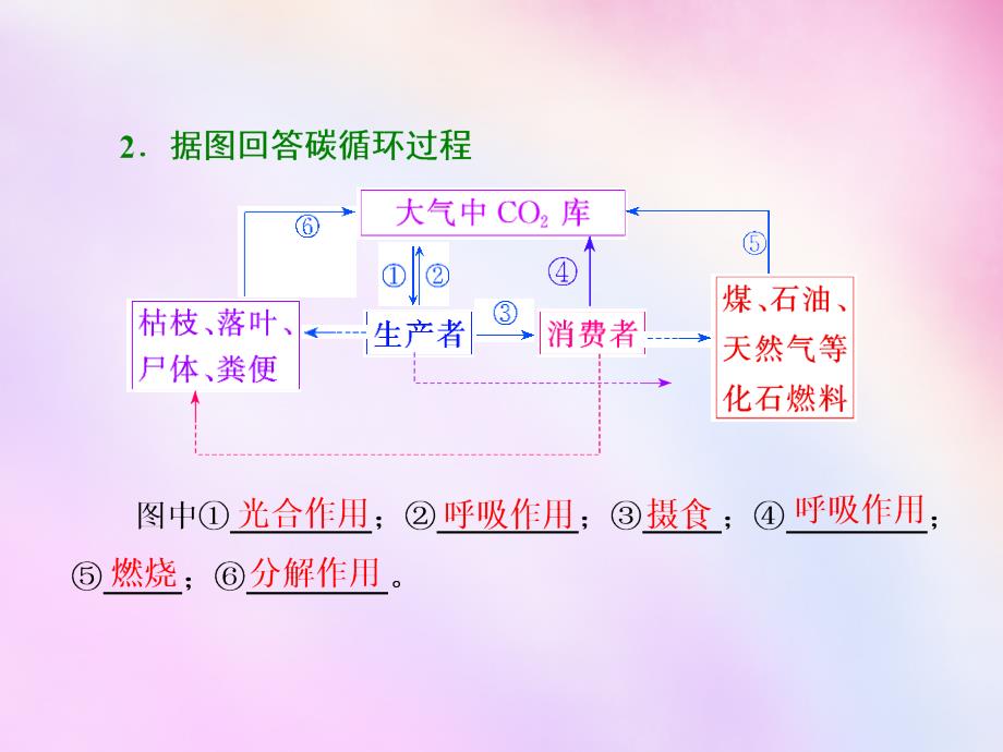 2018高考生物一轮复习 第四单元 第二讲 生态系统的物资循环与稳态及调节课件 浙教版必修3 (2)_第3页