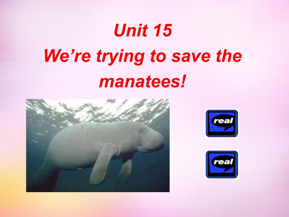 山西省太谷县明星镇中学九年级英语全册 unit 15 we’re trying to save the manatees section a课件1 人教新目标版_第1页