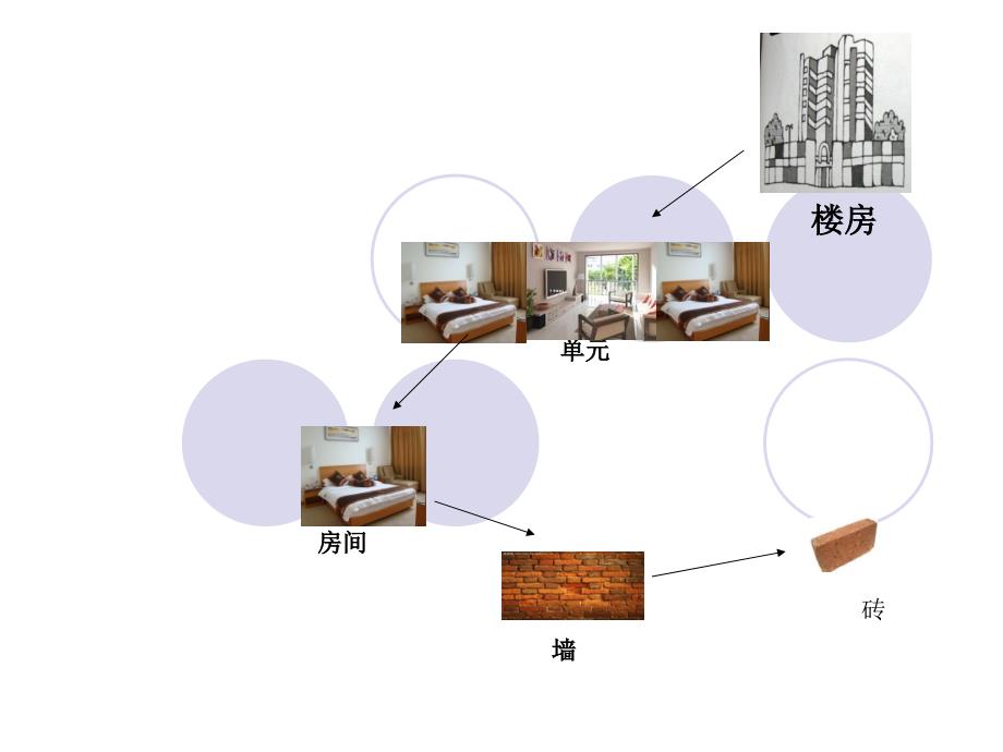 4.9.2 人体的组成 课件 (8).ppt_第2页