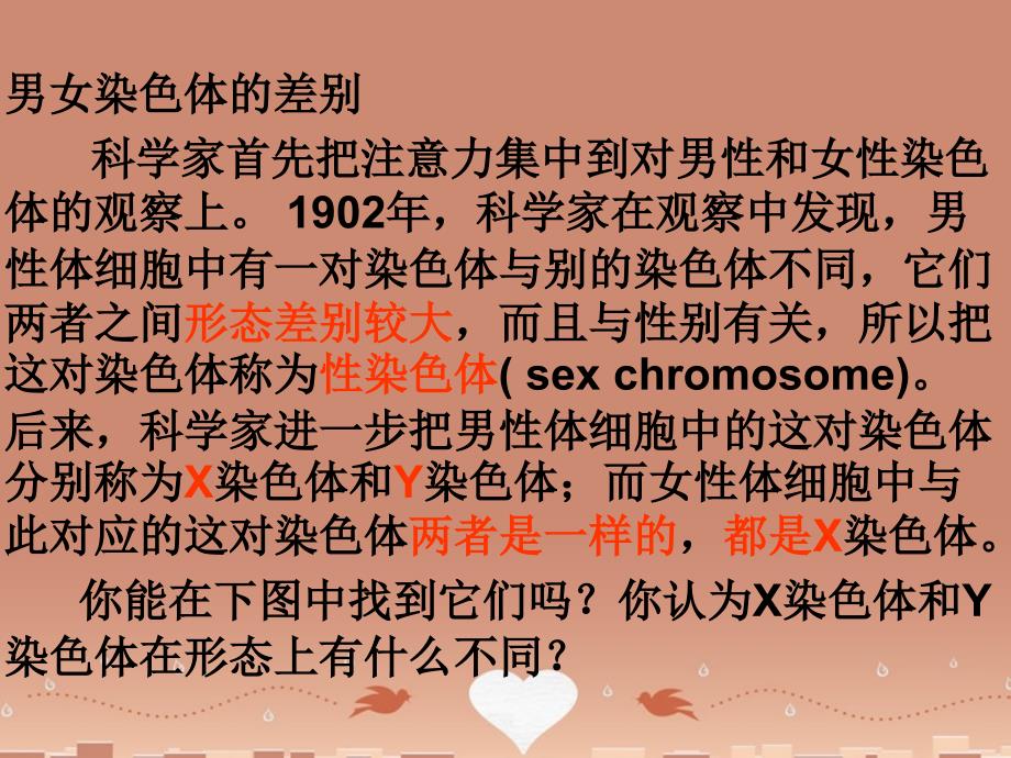 广东省中山市2017-2018学年度八年级生物下册 7.2.4 人的性别遗传课件 新人教版_第3页