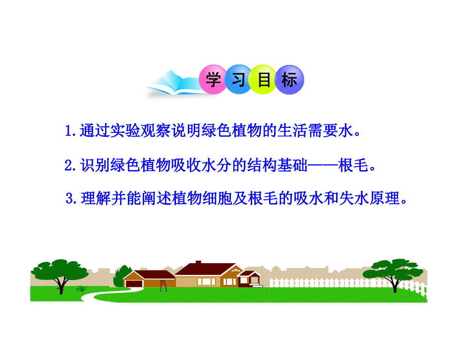 5.3.1 吸收作用 课件 北师大七年上.ppt_第3页