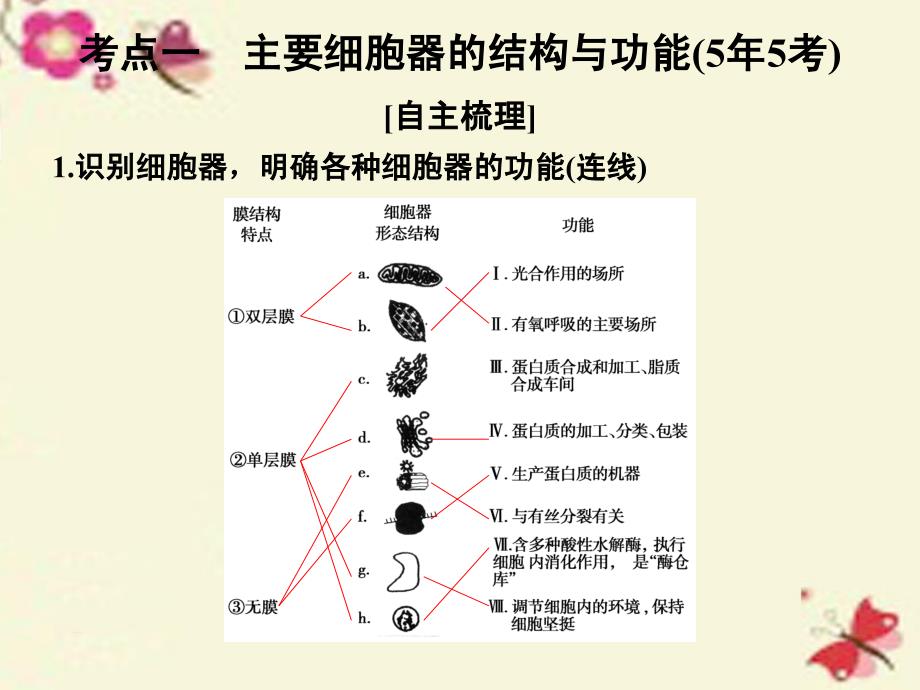 2018高考生物一轮复习 第2单元 细胞的基本结构与物质运输 第6讲 细胞器与生物膜系统课件 新人教版_第2页