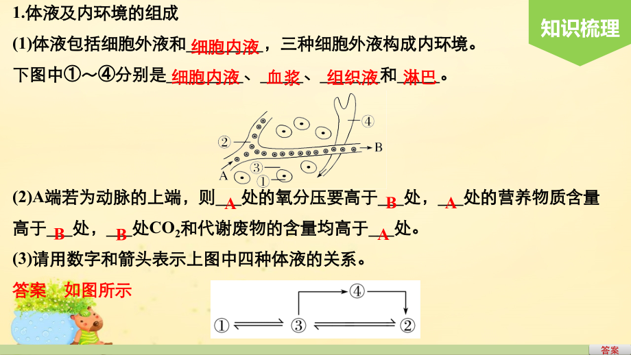 （全国通用）2018版高考生物一轮复习 第八单元 生命活动的调节 第27讲 人体内环境的稳态及其实例分析课件 新人教版_第4页