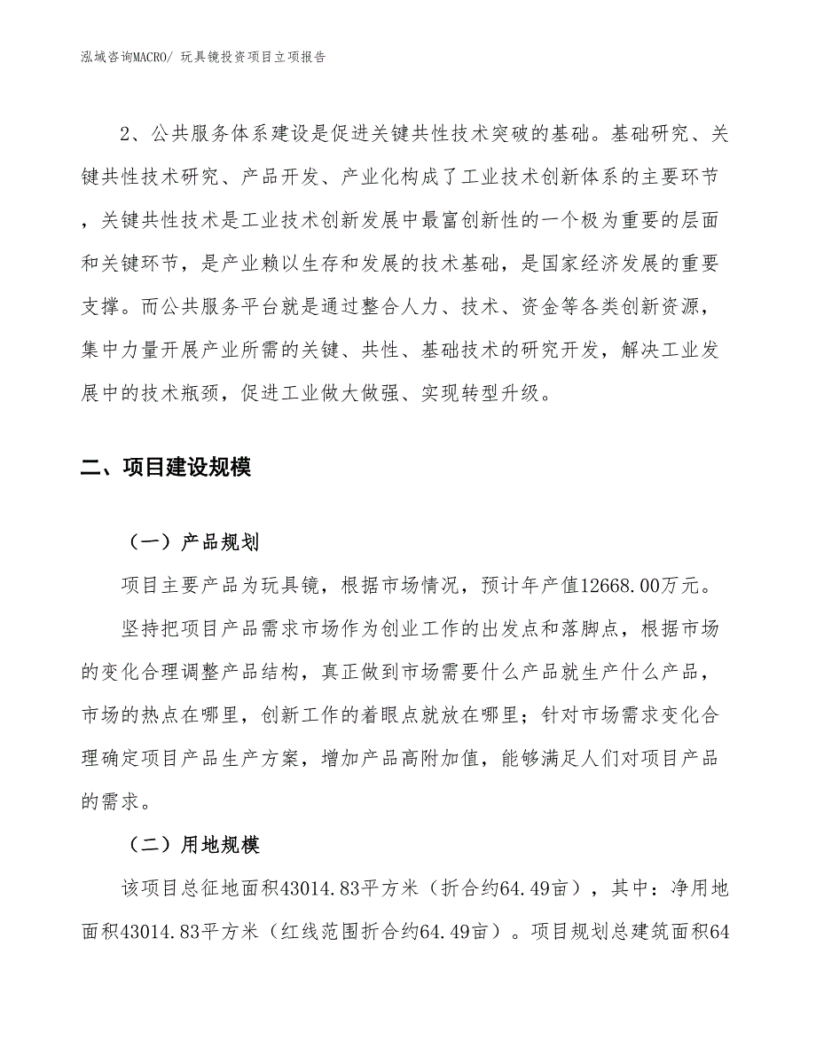 玩具镜投资项目立项报告_第4页