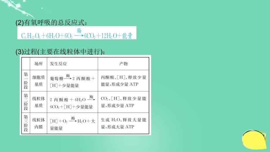 2018高考生物一轮复习 专题三 2 细胞呼吸课件 新人教版必修1_第5页