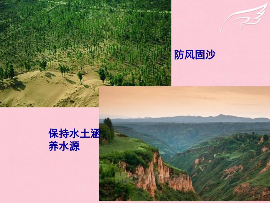四川省成都市第七中学高中地理 2.2森林的开发和保护-以亚马孙热带雨林为例课件 新人教版必修3_第4页