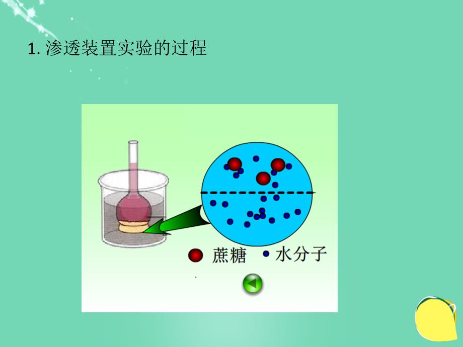 2018高考生物一轮复习 第二单元 细胞的基本结构与物质运输 05 渗透装置实验课件 新人教版_第3页