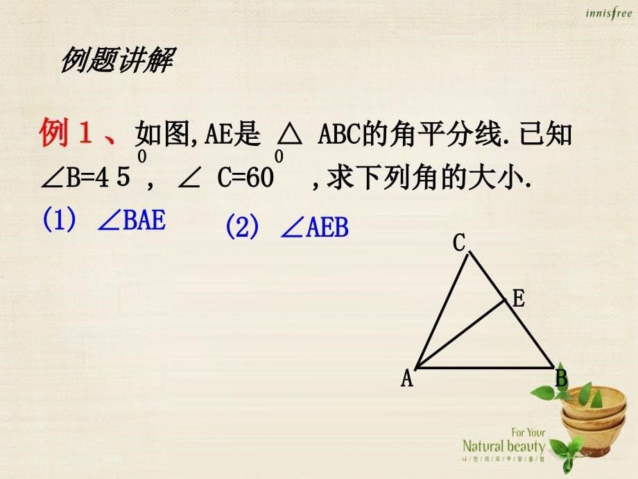 浙江省乐清市育英寄宿学校八年级数学上册 1.1 认识三角形课件2 （新版）浙教版_第5页