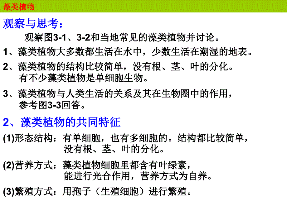 5.1.8 藻类，苔藓和蕨类植物 课件 新人教版七年级上.ppt_第4页